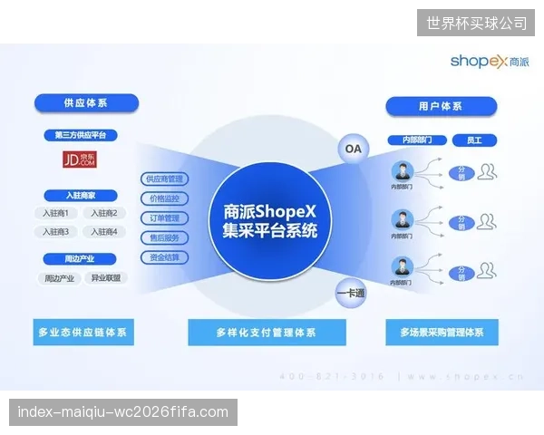 演进周期内 活动执行主体 由分散采购转向 集中采购的体系整合